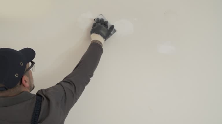 Best Touch-Up Painting  in Posen, IL